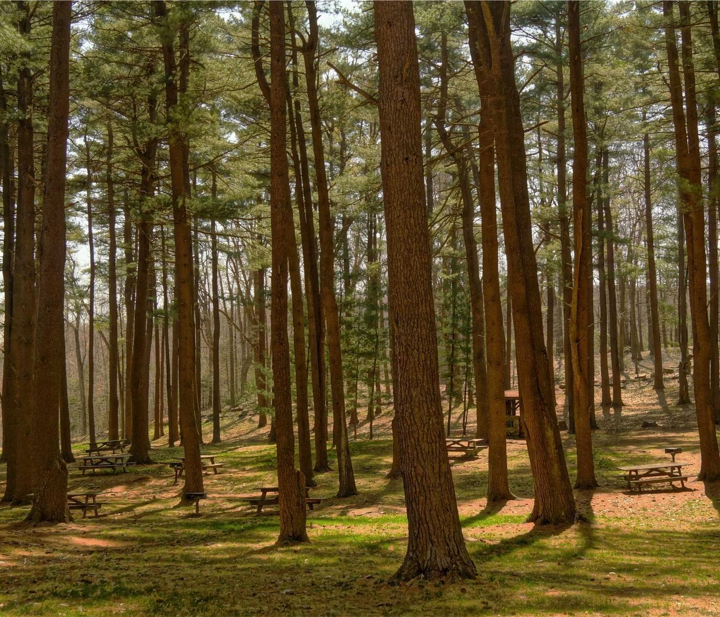 Assorted cookies in a gift box with ribbon