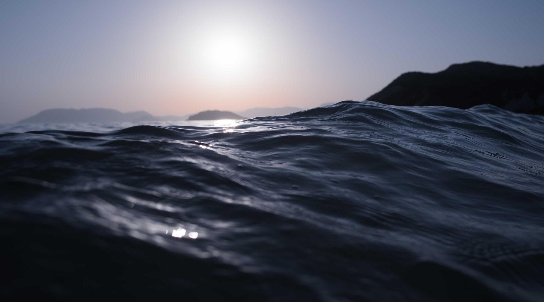 Assorted cookies on a cooling rack